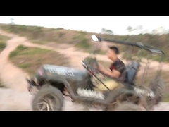 kart 300 cm³ 2 roues motrices