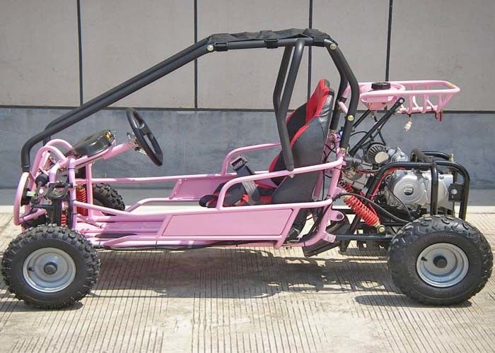 110cc les enfants Off Road vont support arrière de sièges du kart deux avec la transmission/inverse de CVT