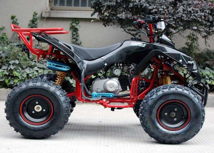 Voitures à quatre roues simples de vélo de quadruple du cylindre 125cc Atv 4 x 4 avec le support arrière/phares lumineux