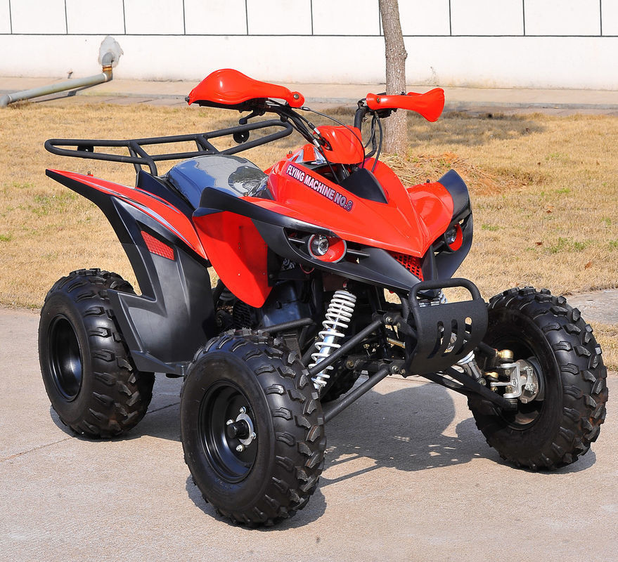 Un véhicules utilitaires de emballage d'Atv du rouge 4 x 4 de la jeunesse ATV 200CC de Seat côte à côte