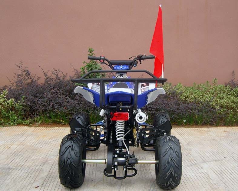 Voitures à quatre roues avant/d'arrière de frein à disque pour des adultes, début électrique de la voiture à quatre roues 110cc