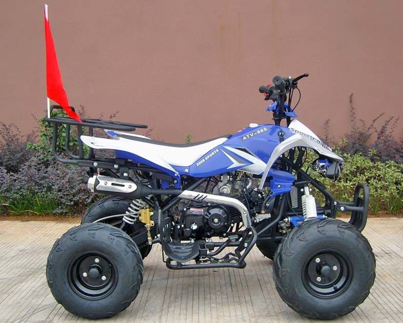 Voitures à quatre roues avant/d'arrière de frein à disque pour des adultes, début électrique de la voiture à quatre roues 110cc