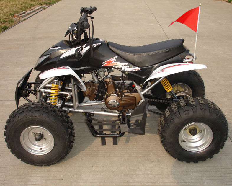 ATV à quatre roues de taille moyenne 110cc complètement automatique avec le double frein à tambour avant inverse