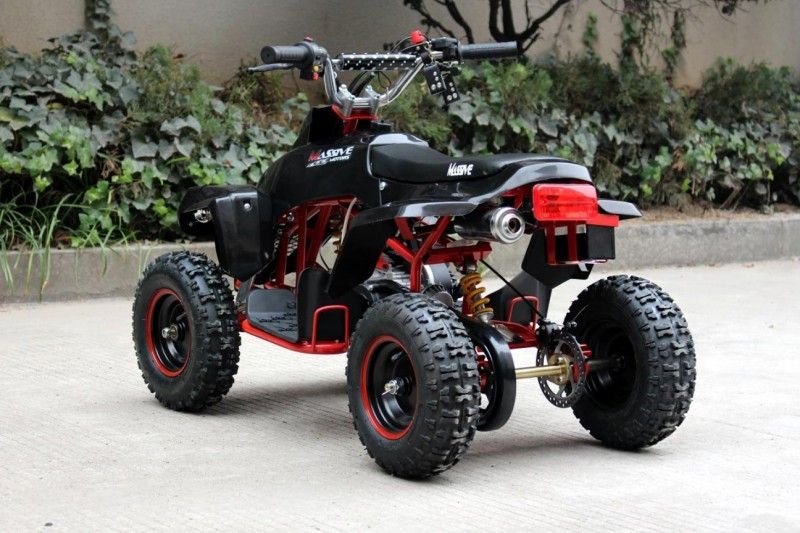 800w 48v badine le vélo électrique de quadruple, voiture à quatre roues électrique pour la transmission d'entraînement d'axe d'adultes
