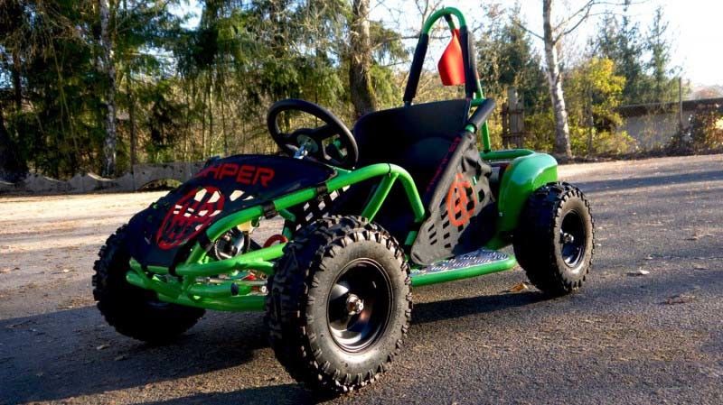 W 1000 48v a balayé le moteur Atv de C.C tous les sièges du véhicule 2 de terrain avec grand Seat doux