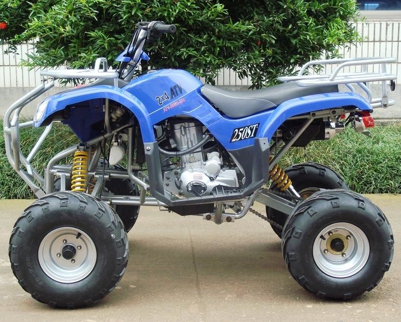 Double avant A - armez les véhicules utilitaires ATV 250cc avec 8
