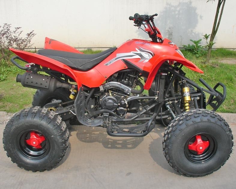 250CC véhicules utilitaires rouges ATV 8