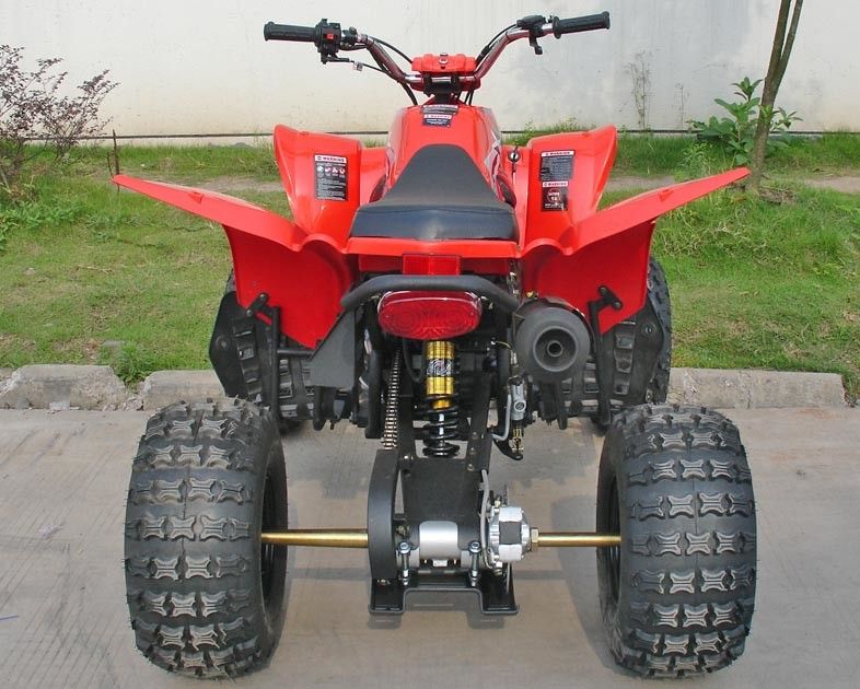 250CC véhicules utilitaires rouges ATV 8