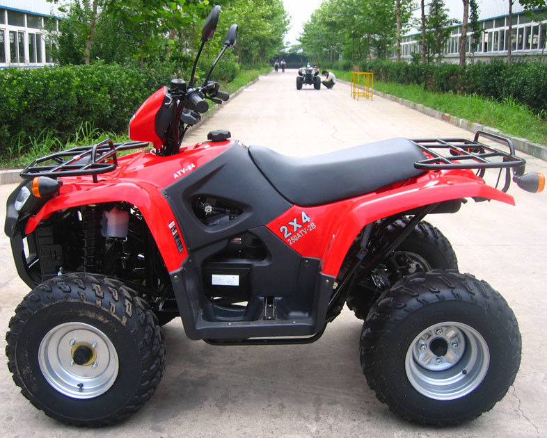 Jeunesse refroidie par l'huile Atv de emballage 260cc avec la vitesse d'inversion/le réducteur de transmission de grande taille d'intérieur