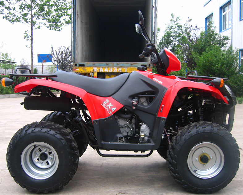 Jeunesse refroidie par l'huile Atv de emballage 260cc avec la vitesse d'inversion/le réducteur de transmission de grande taille d'intérieur