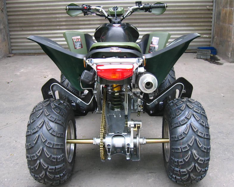 Jeunesse d'extra large emballant l'embrayage électrique de manuel de début de CDI de vélo de quadruple d'Atv 250cc Atv