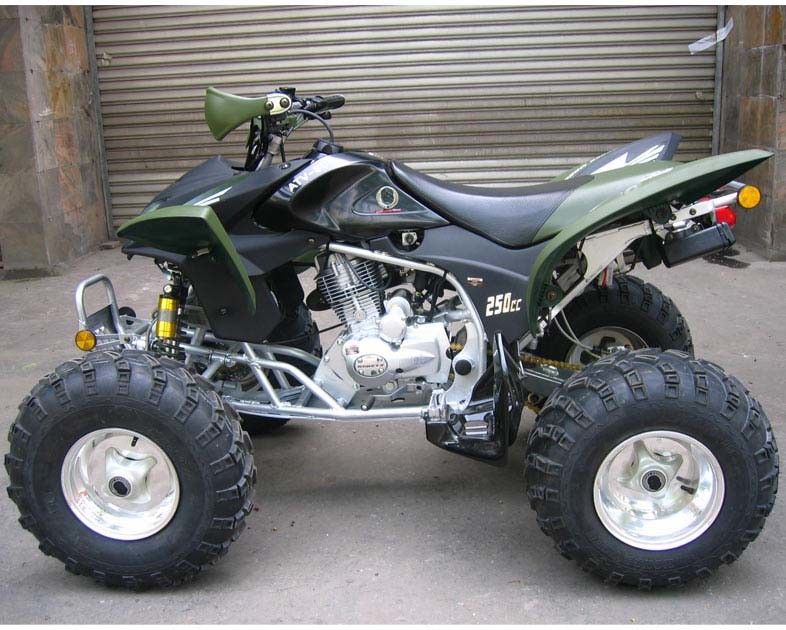 Jeunesse d'extra large emballant l'embrayage électrique de manuel de début de CDI de vélo de quadruple d'Atv 250cc Atv