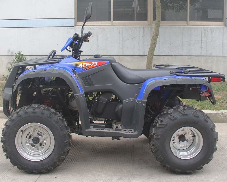 Voiture à quatre roues complètement automatique de l'inverse 300cc deux Seater 2 * commande d'axe 4 refroidie à l'eau