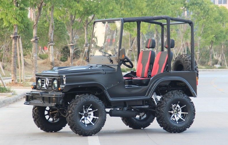 Les mini sports de emballage de la jeep 4WD ATV vont boguet de kart pour l'adulte, 300cc vont kart