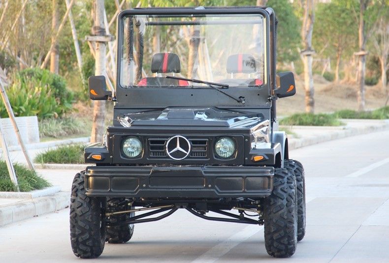 Les mini sports de emballage de la jeep 4WD ATV vont boguet de kart pour l'adulte, 300cc vont kart
