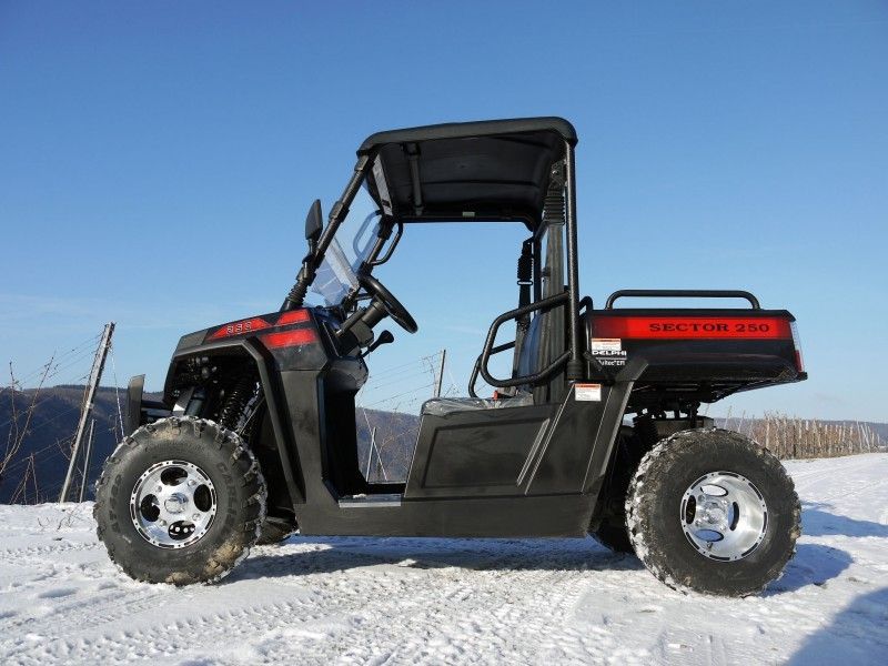 Véhicules utilitaires rabattables de gaz de treuil de chargeur d'UTV 250 avec Efi - rouge, Windsheild et barre de remorquage