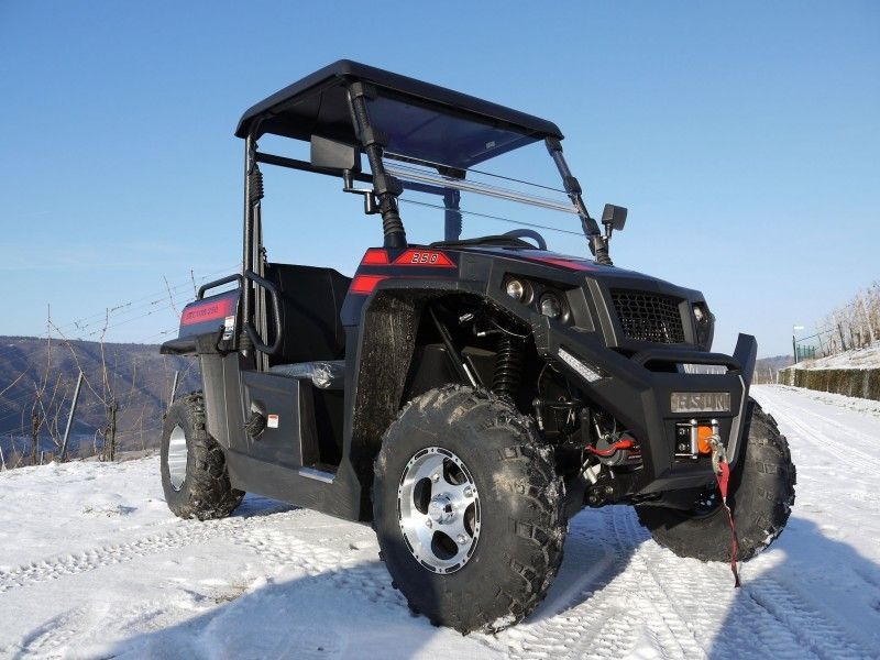 Véhicules utilitaires rabattables de gaz de treuil de chargeur d'UTV 250 avec Efi - rouge, Windsheild et barre de remorquage