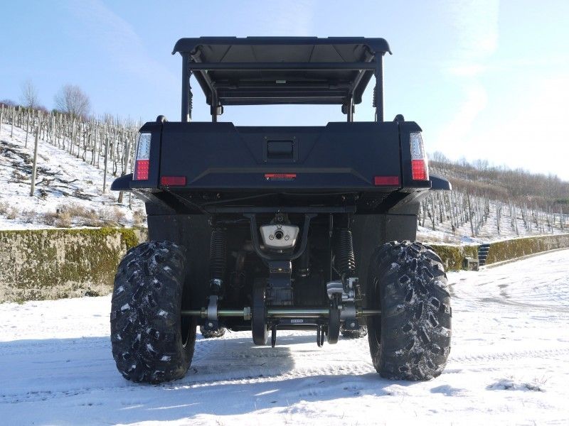 Véhicules utilitaires rabattables de gaz de treuil de chargeur d'UTV 250 avec Efi - rouge, Windsheild et barre de remorquage