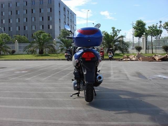 mini scooter 150cc avec le moteur refroidi par air forcé de Cvt, frein à tambour avant d'arrière de disque