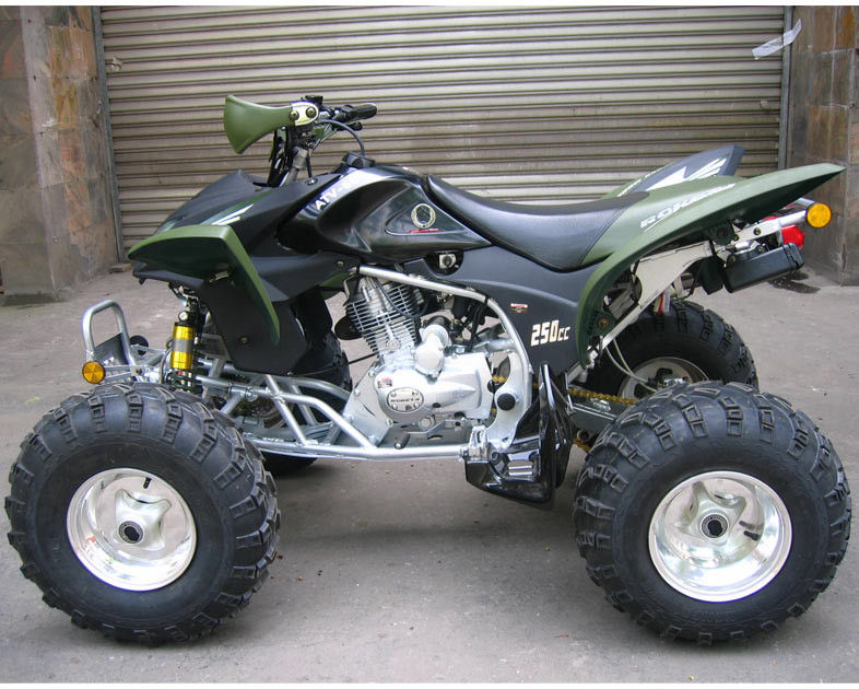 Jeunesse ATV de emballage, vitesse maximum 46.6mile/h du chemin de ferme et forestier 250cc