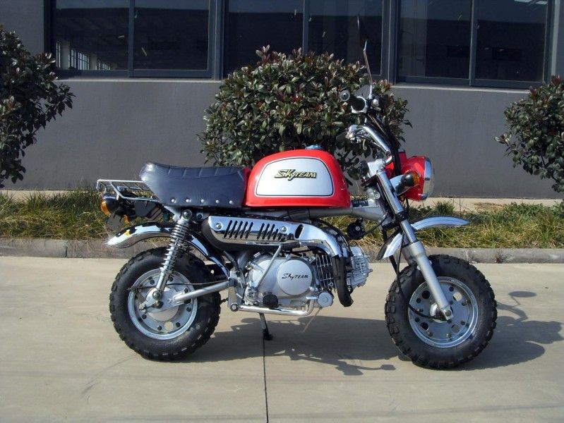 4-Gear moto internationale du moteur 125cc pour des adultes avec le roulement à rouleaux coniques
