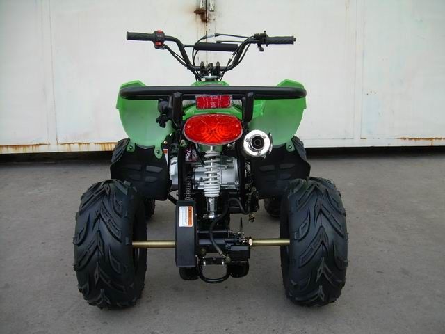 jeunesse 110CC emballant 4 rouleurs pour le chemin forestier, vitesse maximum 50km/h