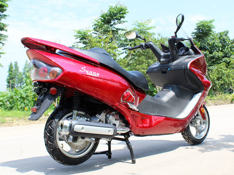 frein à disque adulte d'arrière de disque d'avant de scooteur de moteur refroidi à l'eau de 300cc CVT