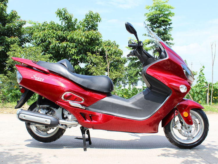 frein à disque adulte d'arrière de disque d'avant de scooteur de moteur refroidi à l'eau de 300cc CVT