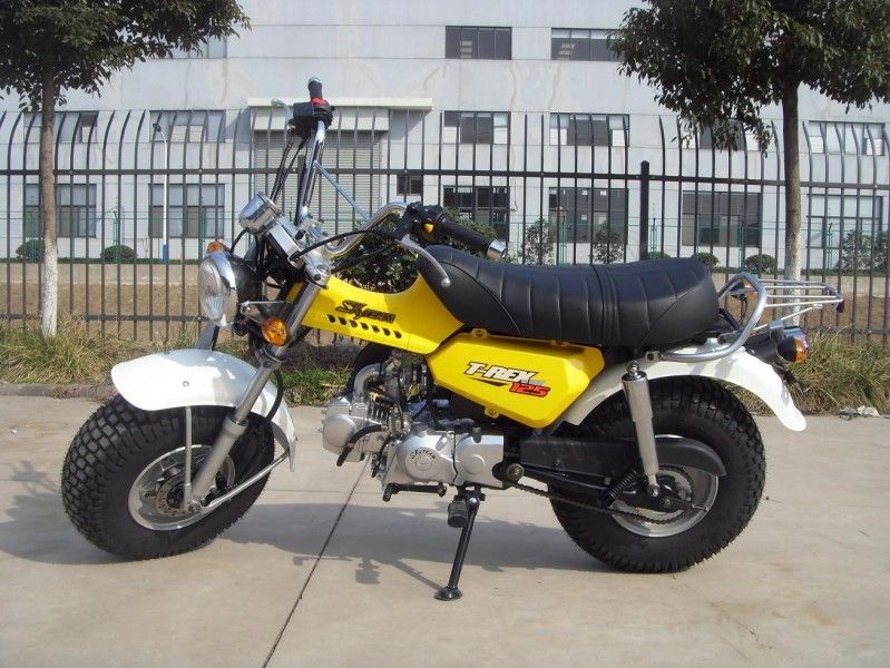 Skyteam T - mini vélo 125cc, moto de Rex 125 de 2 personnes avec la vitesse de 4 vitesses