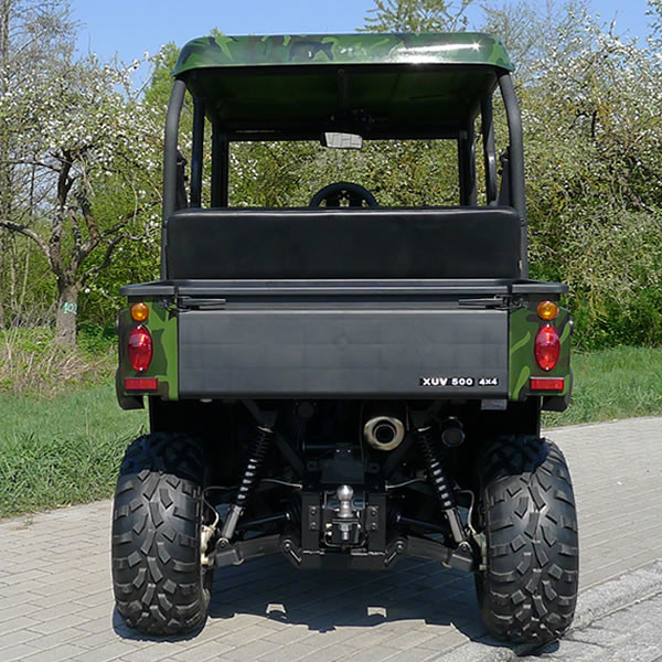 Véhicules utilitaires au gaz Moteur CF de qualité avec injection de carburant Bosch EFI 500cc avec 4 places