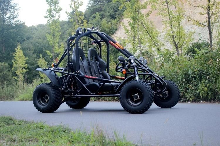 GRAND buggy des sables simple de la course 200cc du cylindre 4 pour le chemin forestier/lit de la rivière