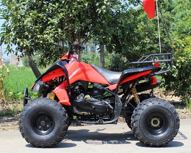 jeunesse 13.9HP refroidie à l'eau emballant le rouleur d'ATV 200cc 4 avec le frein à disque arrière