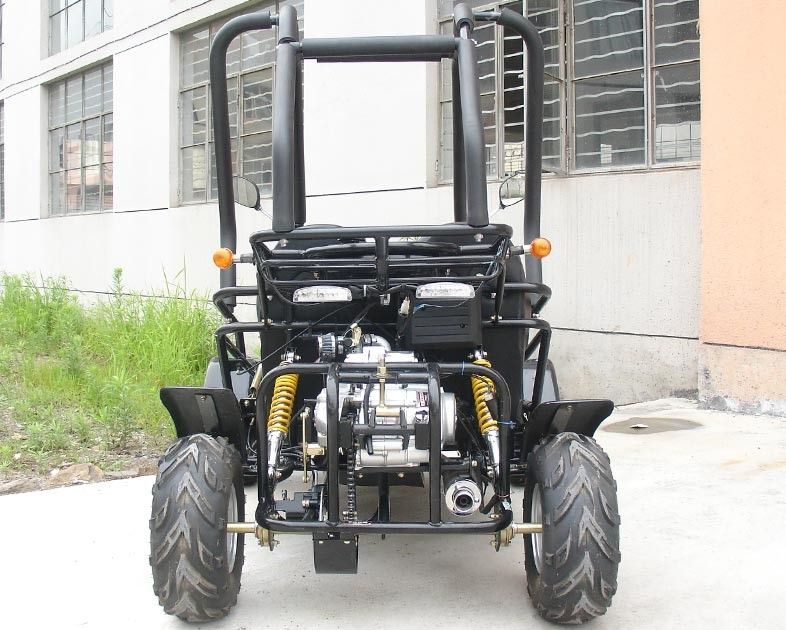 Les petite 3 vitesses 110cc vont le boguet de kart deux Seater Atv avec le début de CDI Electirc