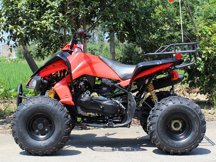 200cc ATV à quatre roues, 8