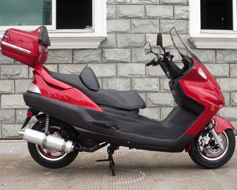 Scooteur adulte de début de coup-de-pied jante de 12 pouces avec le choc d'arrière de double de chromaticité