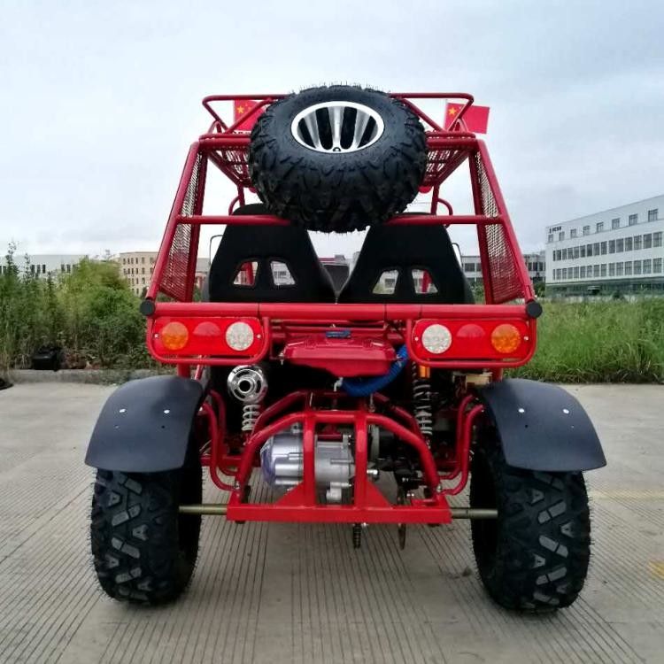 250cc de grande taille vont refroidi à l'eau avec des erreurs de kart avec la suspension d'indépendant de 4 roues