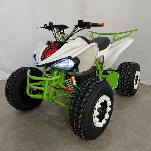 Véhicule utilitaire tout-terrain électrique 72V 2000W, marque chinoise, roue de 10 pouces, entraînement par arbre, certifié CE