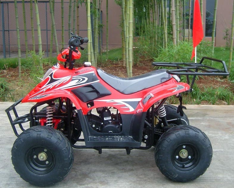 Haute performance de double d'oscillation du bras 70cc ATV de quadruple chargement maximum avant du vélo 80KG