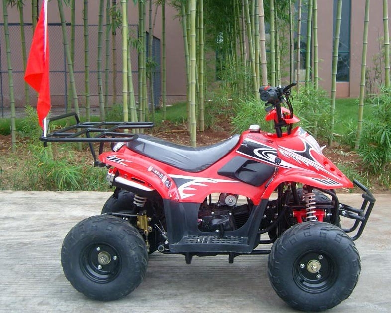 Haute performance de double d'oscillation du bras 70cc ATV de quadruple chargement maximum avant du vélo 80KG