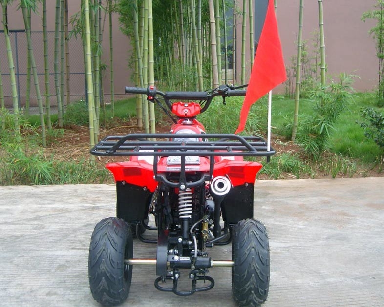 Haute performance de double d'oscillation du bras 70cc ATV de quadruple chargement maximum avant du vélo 80KG