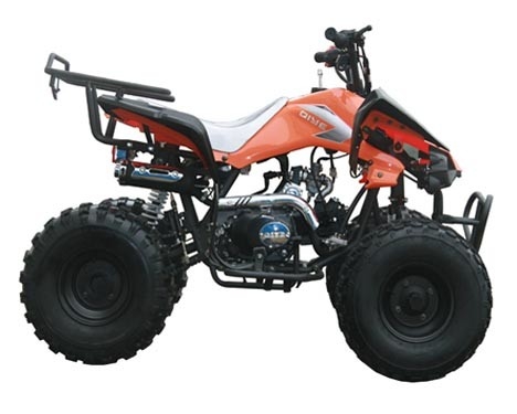 Jeunesse entièrement automatique du moteur 125cc ATV de emballage avec le début électrique maximum inverse de la charge 65kg