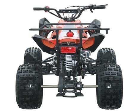 Jeunesse entièrement automatique du moteur 125cc ATV de emballage avec le début électrique maximum inverse de la charge 65kg