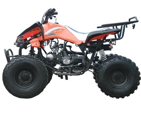 Jeunesse entièrement automatique du moteur 125cc ATV de emballage avec le début électrique maximum inverse de la charge 65kg