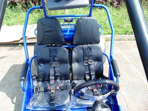 Allumage 17,4 de CDI de 2,25 gallons HP 300cc CVT EFI Go Kart Buggy
