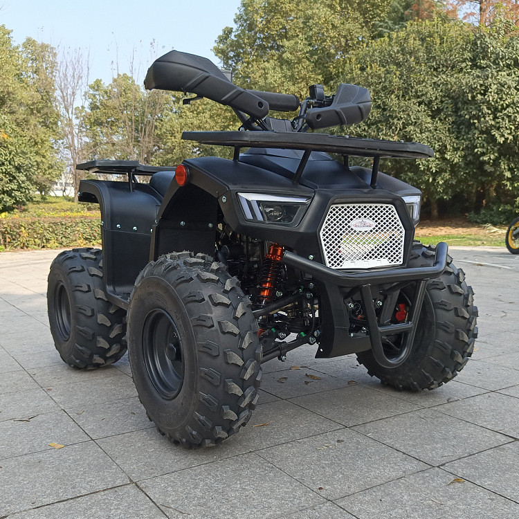 cylindre simple à quatre roues Max Horsepower 8.0kw 9500r/Min à quatre temps de 125cc Atv