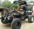 250cc Water Cooled Go Kart Buggy Cdi Ignition Rear Wheel Drive